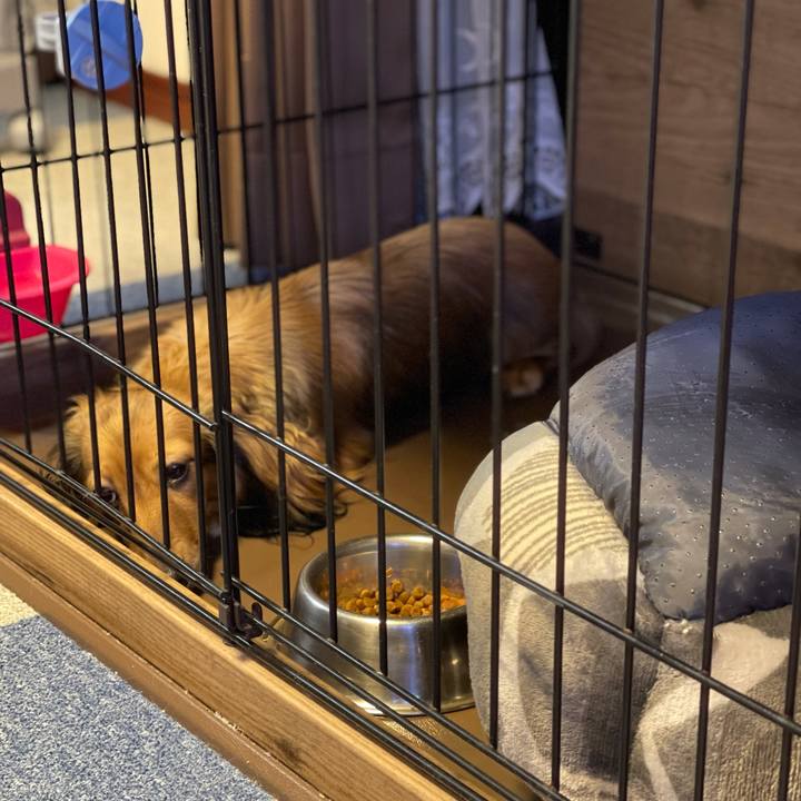 Fa65e126 395a 4610 ab12 41c2d3c74703 1631878978499