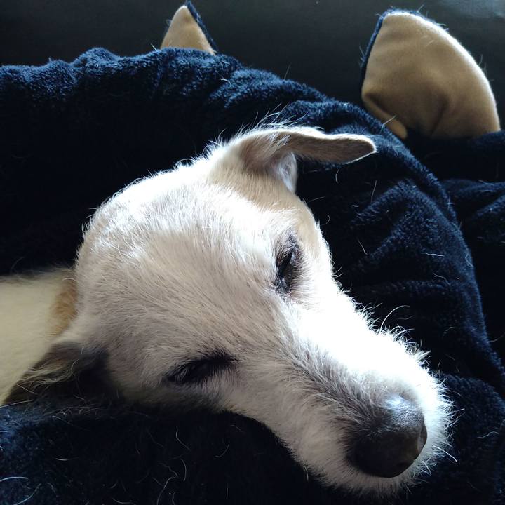 Fa65f6d2 4356 4e13 af03 c47f575e1aed 1748434145139