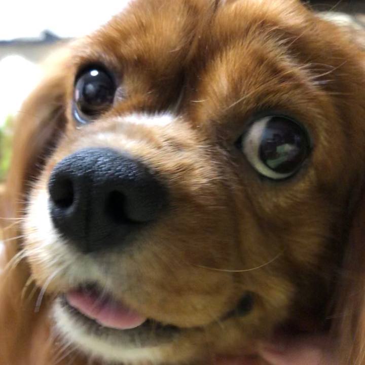 Fa65f78f ddb3 4a5c 94da d1a474a16316 1565791490465