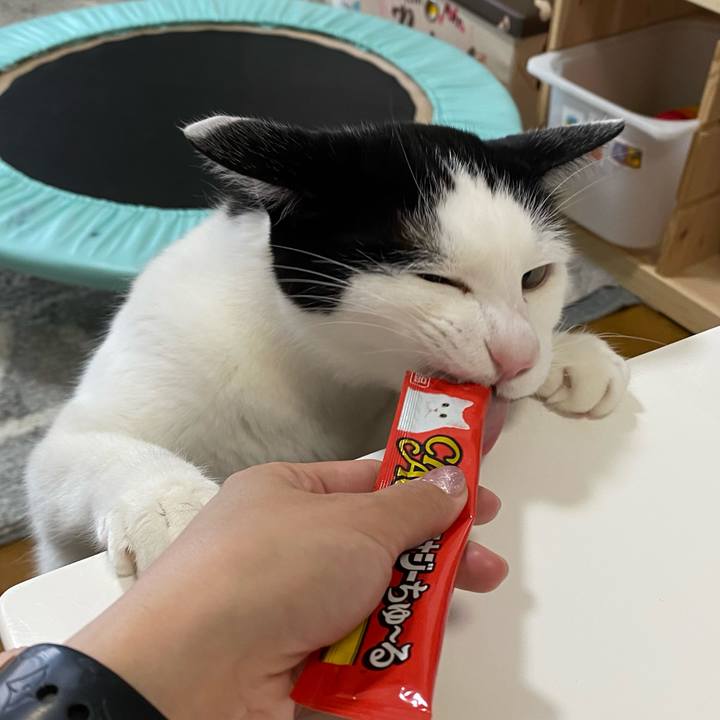 Fa65fca7 47b8 4998 a432 710506e51a72 1651634824451