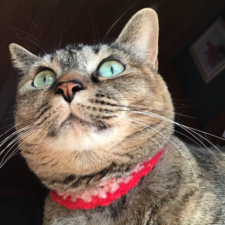 Fa663d53 c39b 4afc be71 181e9a630534 1680598884463