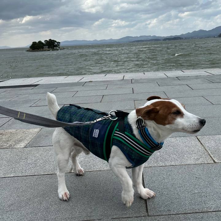 Fa663da0 84d7 4af6 82f8 8b9446c3b7f1 1711079862977