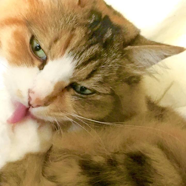 Fa666dc6 8761 4f88 9b87 0b8ffe3008f4 1562384703107