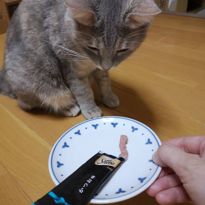 Fa668b2f 2a29 43f3 8b27 cff320a16858 1565186789968