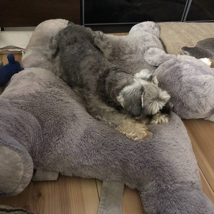 Fa669b8d 012f 42bb 900f b5646d18cd33 1534138489218