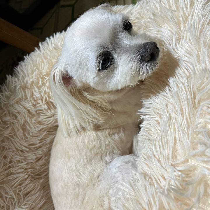 Fa669d0b 45c6 4bdb bbb3 8efc239484de 1684321879552