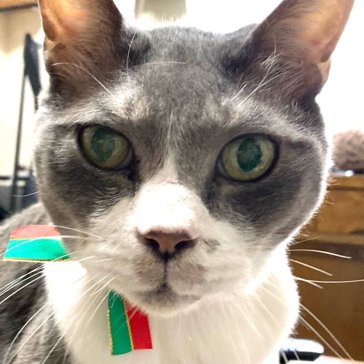 Fa66b068 5334 4776 90e3 8aedb26c3f8d 1735004092093