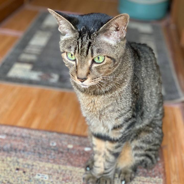 Fa670c94 f350 4a46 9b34 892b9d098d08 1597366116327