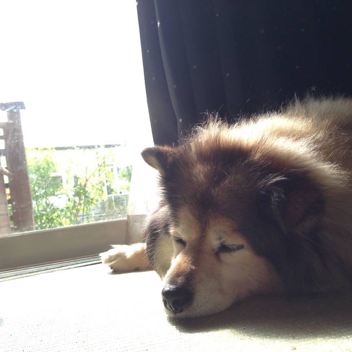 Fa67286d e0c4 4137 aa46 bfb2ec1e3c3a 1548043454981