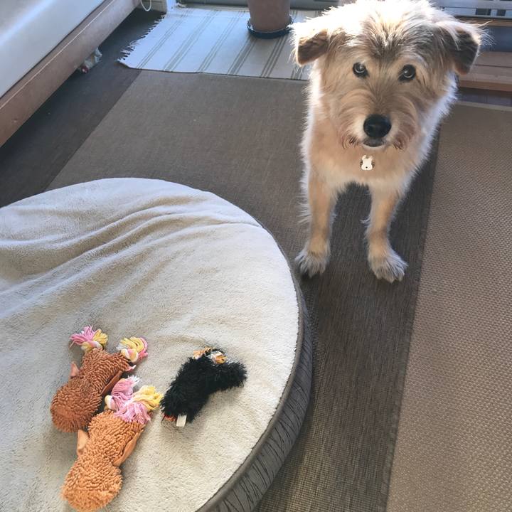 Fa6729eb b7b0 400d 9ab1 d02eba7bf1ec 1608244199776