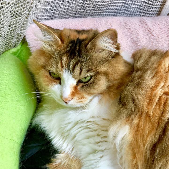 Fa672c42 f906 4125 a49d 438d84b42691 1557614577134