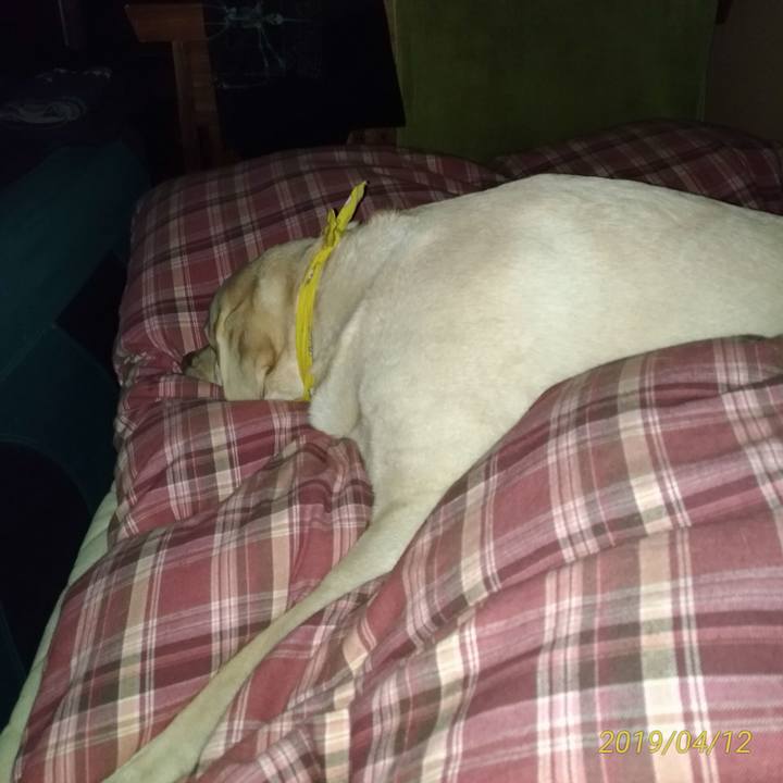 Fa6755f4 9195 4207 8d31 e2a691b68643 1555041123004