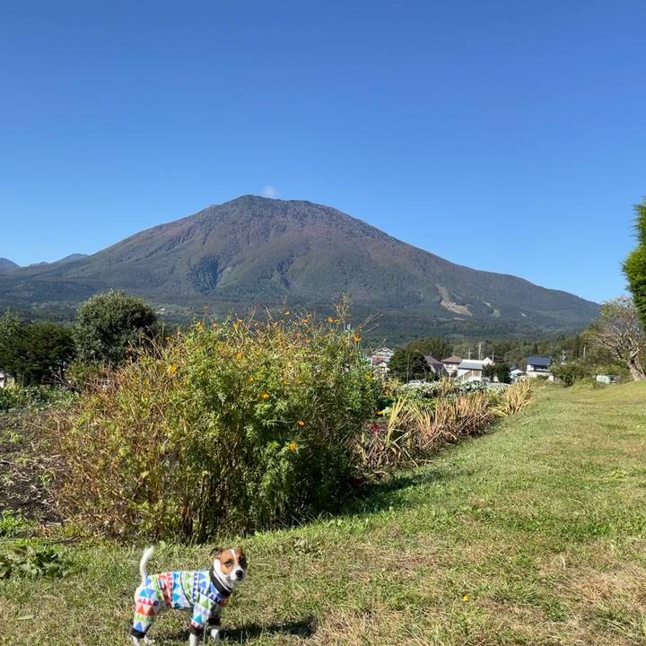 Fa676cf7 540a 4a4c 9718 e1809a38afd2 1634633932827