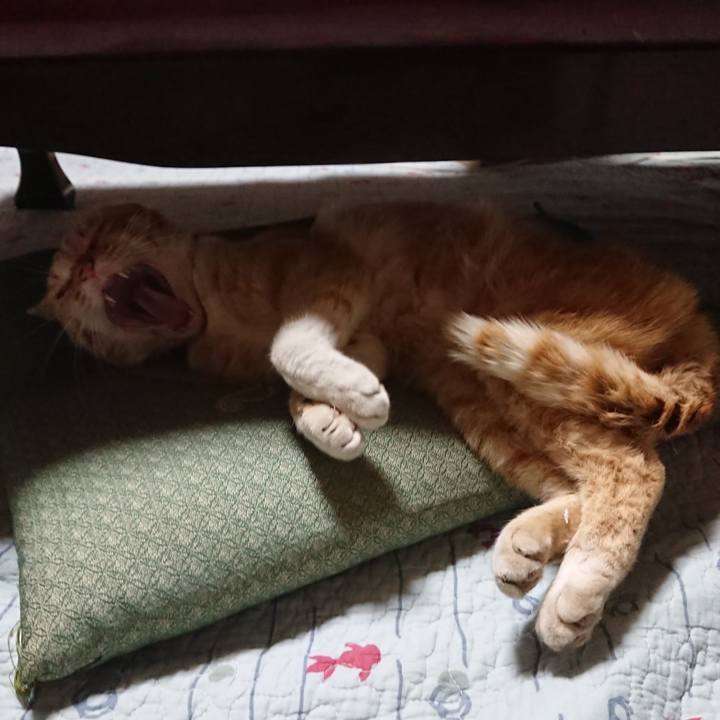 Fa676fb5 54ad 47a3 8792 c71b75f9c719 1557825530486