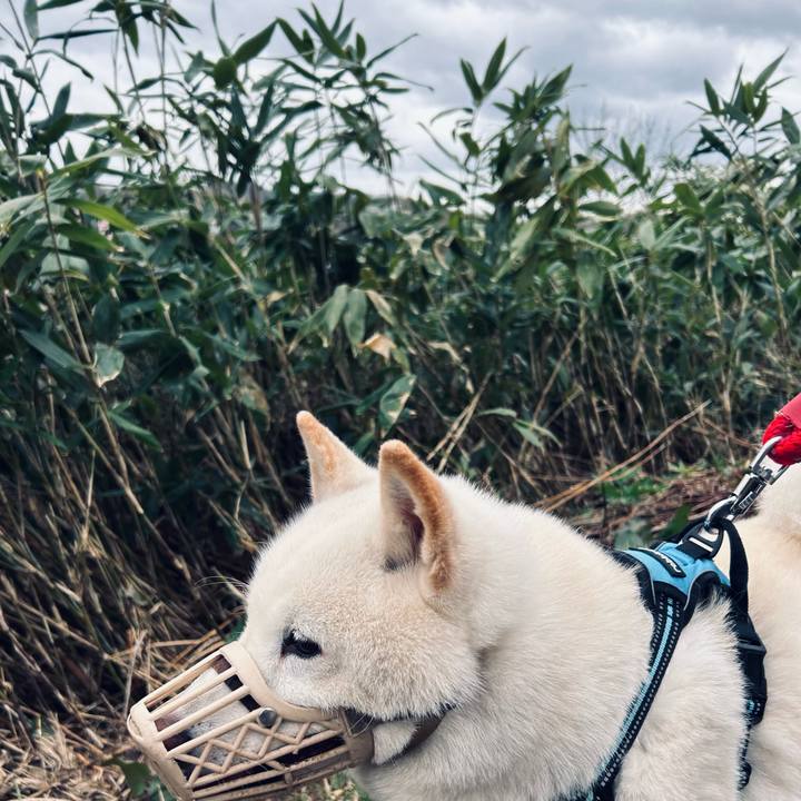 Fa679315 0b25 43f6 9c5e 3addc78d59e5 1682458919281