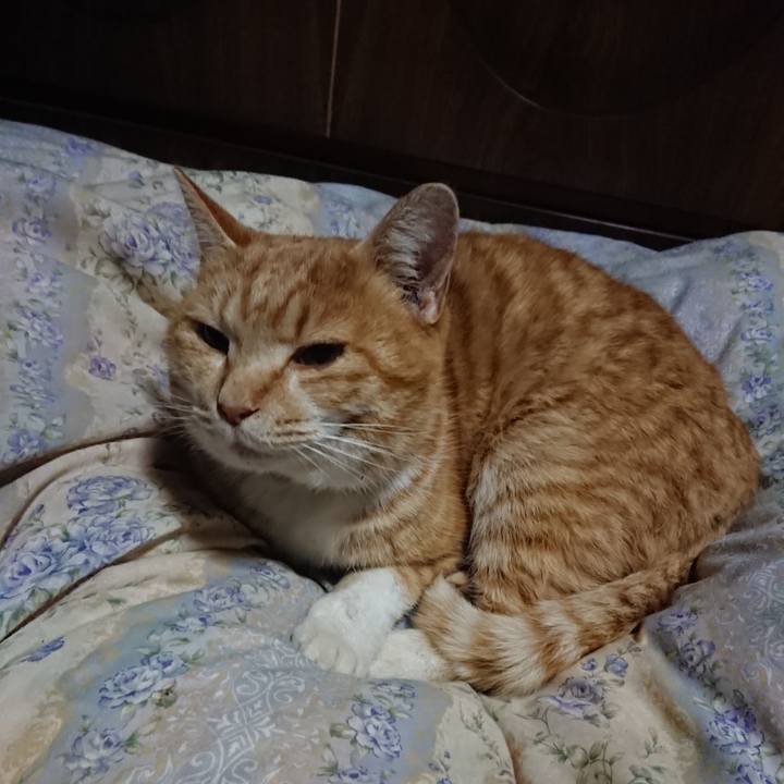 Fa67ad21 aa5e 481e a764 8f4d6e68a95f 1579089009363