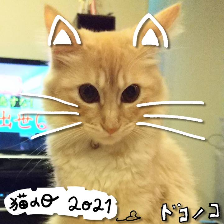 Fa67fa35 9f53 49bc a06d 47fbf06a5203 1613995632751