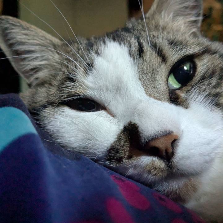 Fa680116 677c 4a9a 9c93 5fe6440b8e66 1771628857021