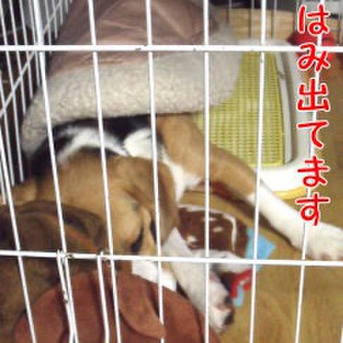 Fa681045 f3f0 472b 8422 ed1a21d910b5 1714695617806