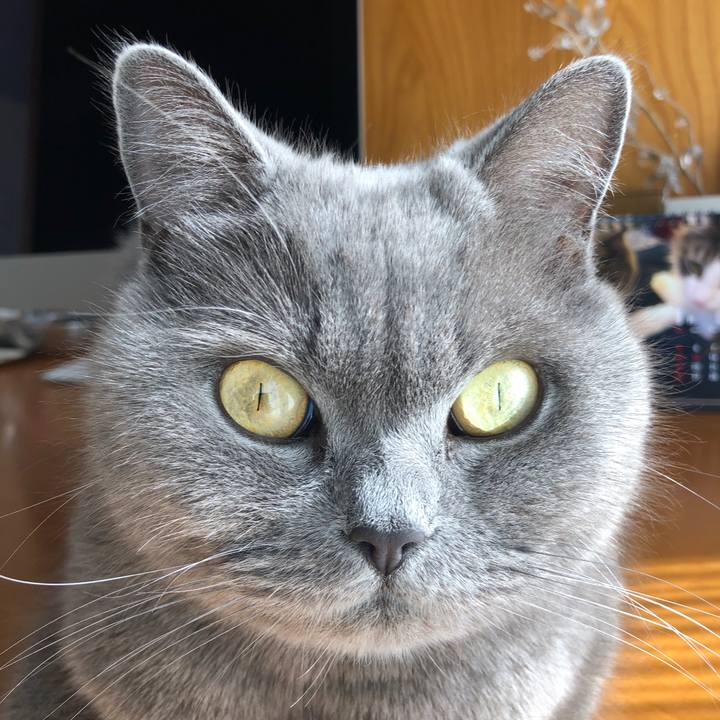 Fa681ade 73d1 4cdd 9c32 1477790c707a 1579315564735