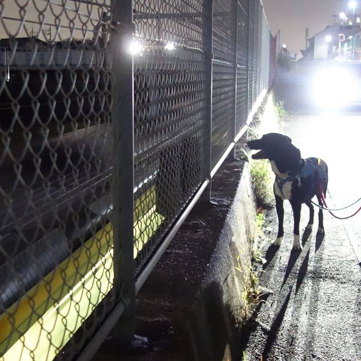 Fa681f89 e745 40ac af70 7633e3c7afb2 1631357208082