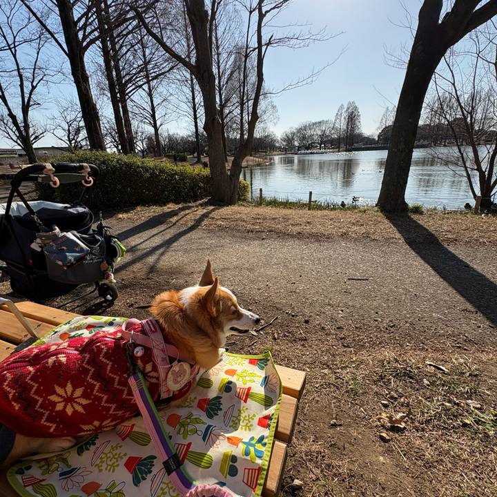 Fa684a79 f678 41be 9c26 901e2995d8cd 1768709501866