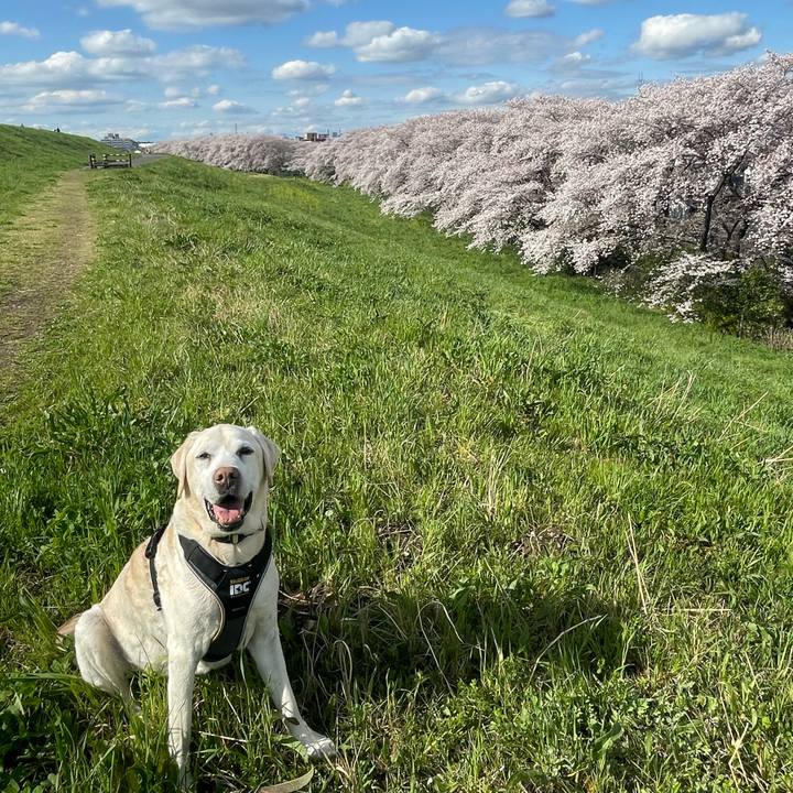 Fa687321 fb00 4af9 b3ce ee378dade8e7 1650105534757