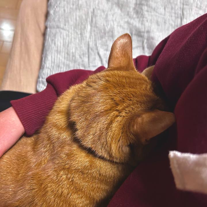 Fa687577 5b18 43fa aa48 5c0bf7dd85d9 1769436925613