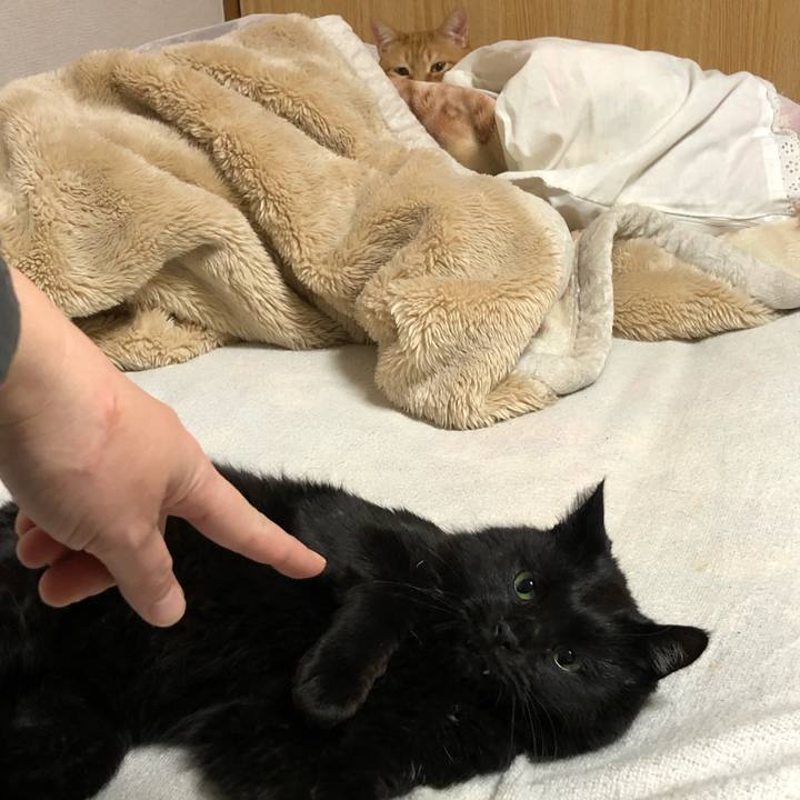 Fa68861e 59bf 4816 9ad6 552e0254a9e2 1609597566763