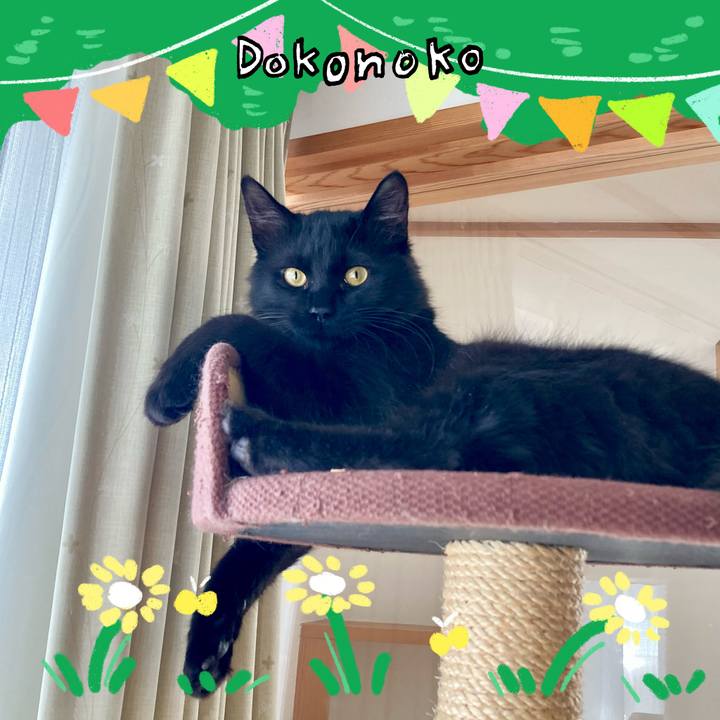 Fa689873 6c61 4834 ba2e 3fca25268da3 1711005857045