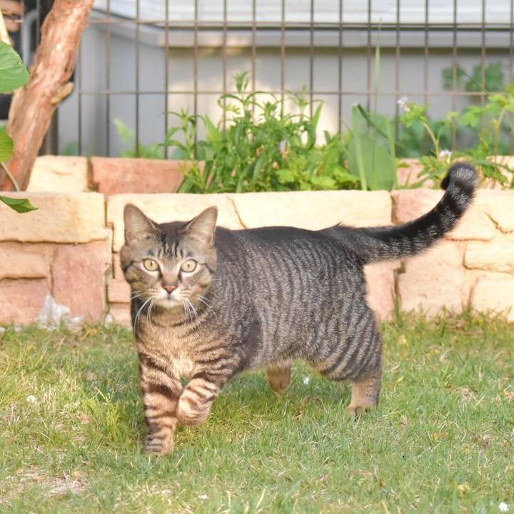 Fa68a5c6 d8c4 4ffe bb50 d3b629f43c15 1524141968037