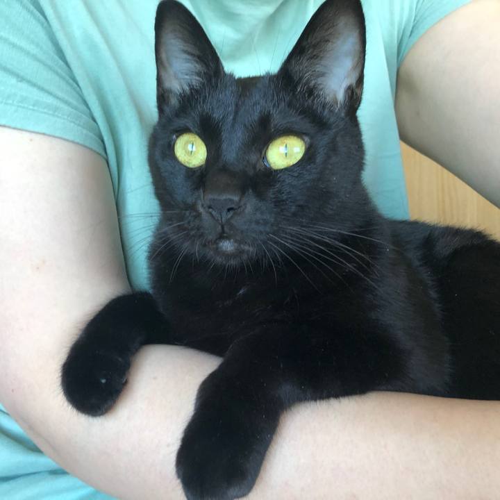 Fa68f78f 1cc9 4b24 b250 3ebcc4f3f165 1695527841177