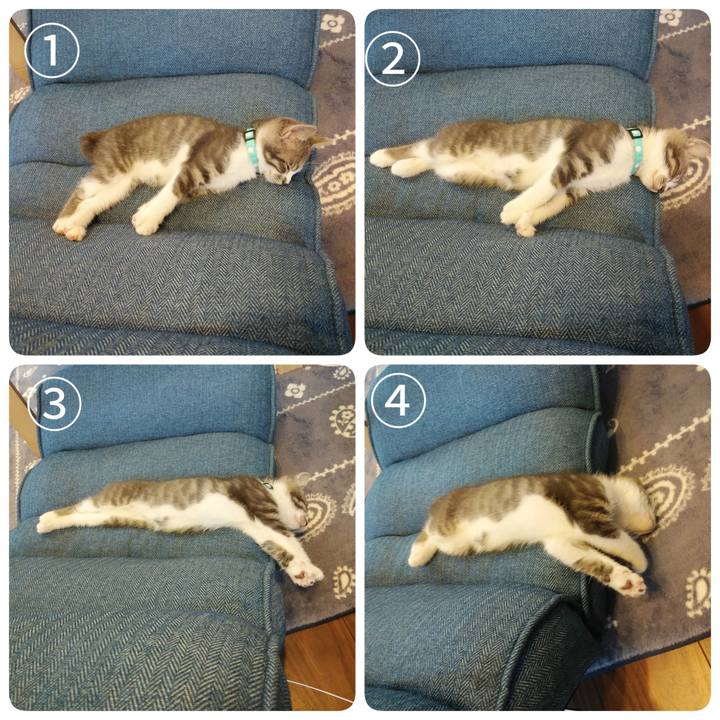 Fa691833 c5f6 497b a21e f3d5ad61488a 1593747855266