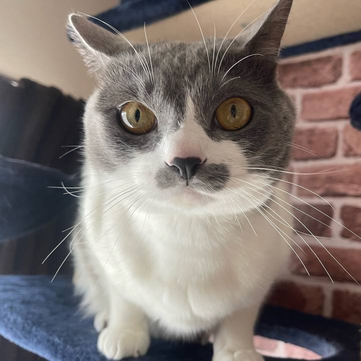 Fa693d2c 1ecf 4475 a095 b5bcf8d0c101 1648342121695