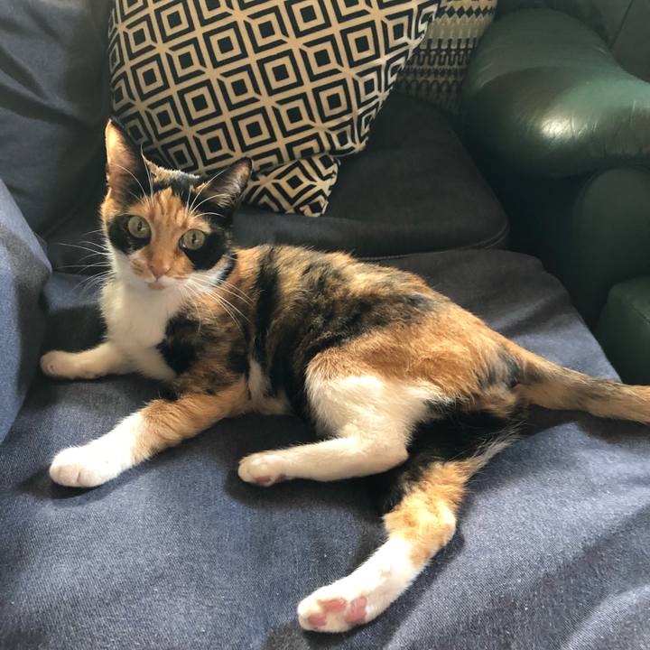 Fa694d3d 9d08 4391 8b21 e1b7320e167a 1535256106984