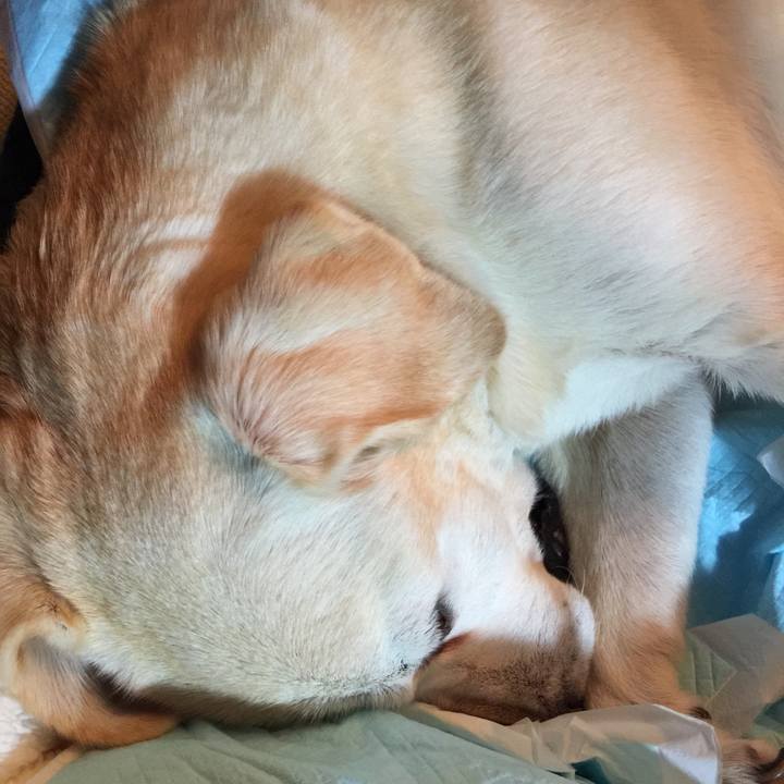 Fa6962ba de3f 4c99 9967 142c486fa132 1545856587912