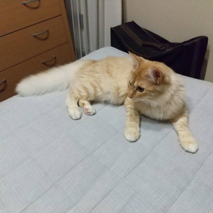 Fa696e68 54ed 4508 ac1f 75ea31b5c777 1619786216503