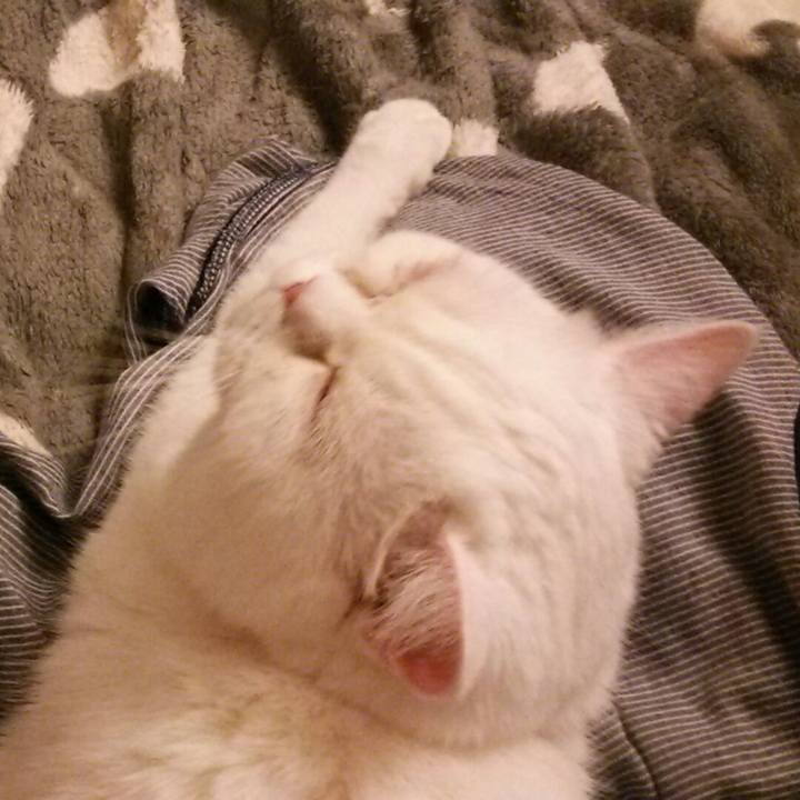 Fa6985b2 1122 488c a3ea 960045243f99 1529406563103