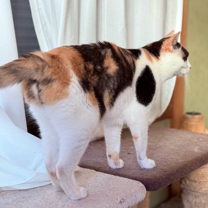 Fa69bab6 dbe0 4b57 b37e ef4b578e5d65 1757903916999