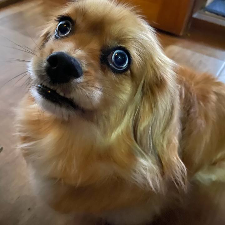 Fa69c0b7 d284 44cf a7f8 9e54a2b9a3df 1587346487062