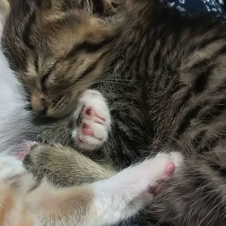 Fa6a3a5c 224d 4b03 8c85 7fe1adee06c8 1632735799082