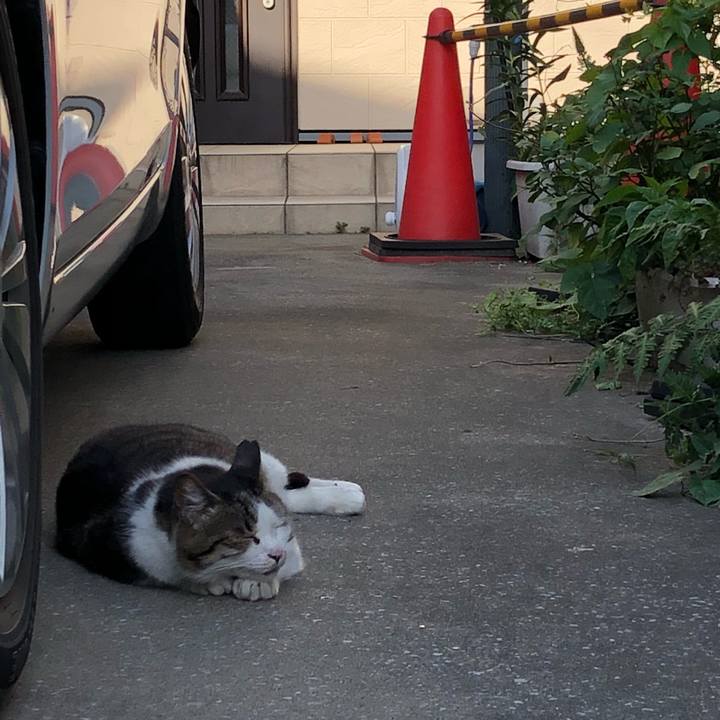 Fa6a3d82 0a48 4ac6 a3f7 c0270e77b2e2 1528549817229