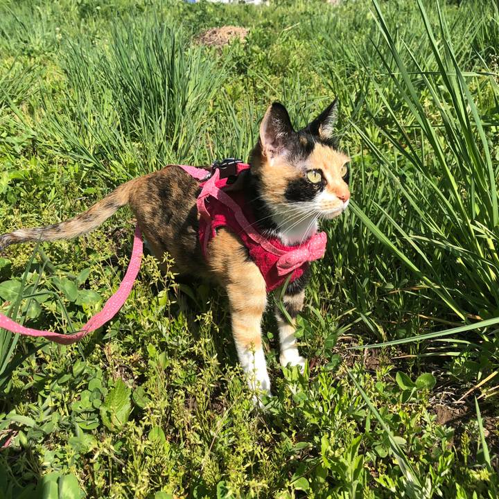 Fa6a7cf8 c4c4 43c0 965f e10973427da2 1557447421204