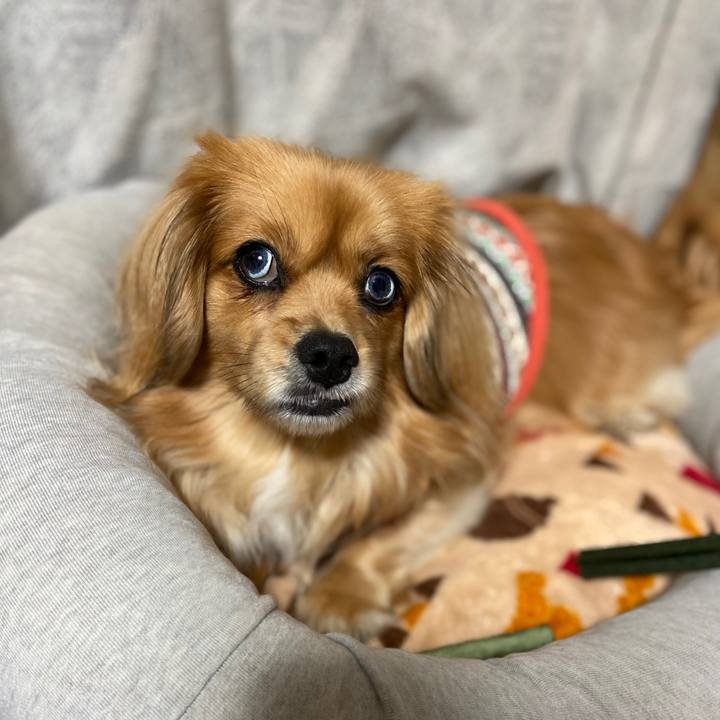 Fa6a9636 ae9a 4e34 b3e0 911ebbbdef40 1581975482471