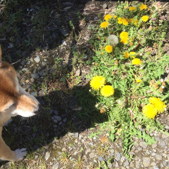 Fa6aa2c6 dac6 4a6d 907e 97a1b0b32004 1587267266689