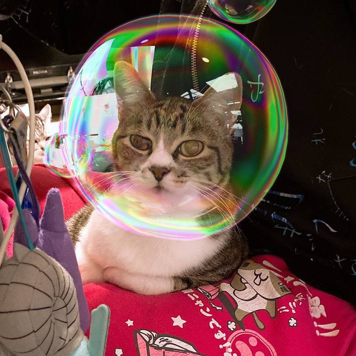 Fa6aabd2 0ed6 4fd1 9b04 0a973ca4fb1a 1582313685581