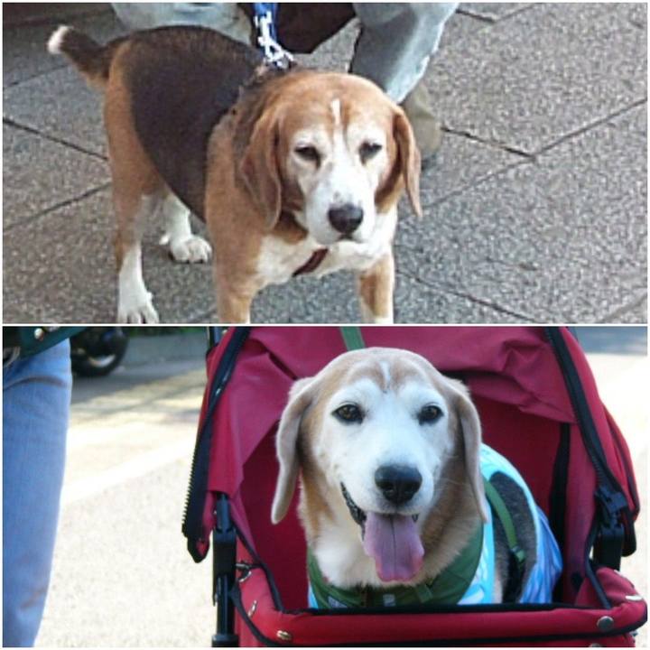 Fa6ab047 9ca0 4aca 99b1 46684c000436 1577766296750