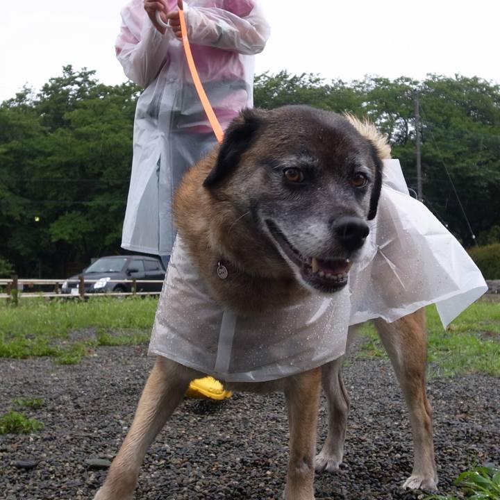 Fa6abeb2 c955 4f1a ab72 e0742480fef0 1582425413176