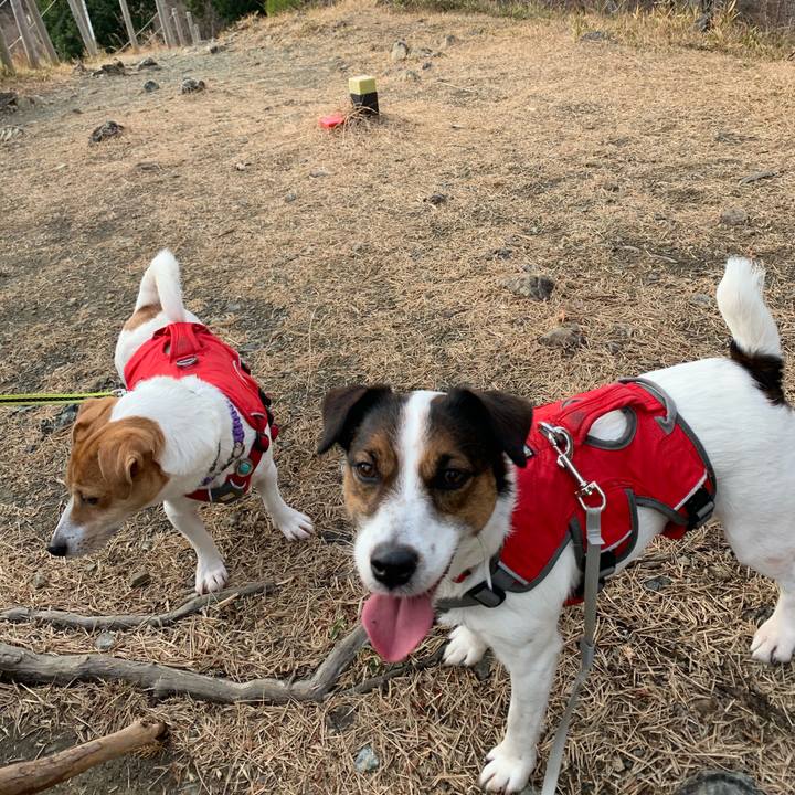 Fa6acfa9 3b38 44bb 8130 e8634ea507bc 1577604178636