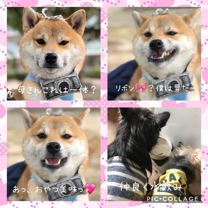 Fa6b4d9a b8f6 48d6 aebf bb577d1c5e20 1552536507978